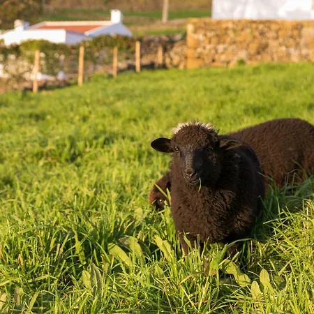 Quinta Do Oeste Doze Ribeiras