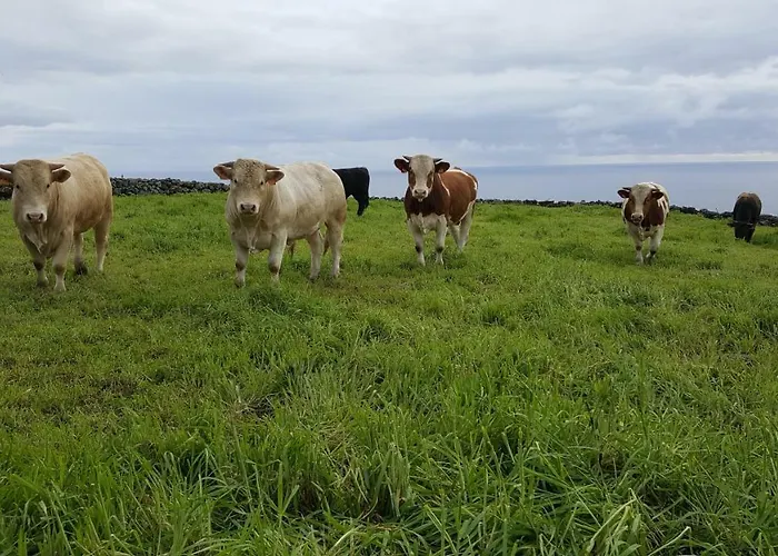 Quinta Do Oeste Doze Ribeiras