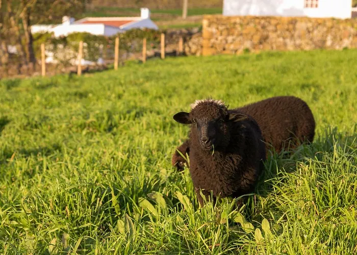 Quinta Do Oeste Doze Ribeiras